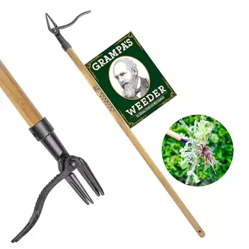 Grampa s Weeder The Original Stand Up Weed Puller Tool with Long Handle Made with Real Bamboo & 4-Claw Steel Head Design Easily Remove Weeds Without Bending, Pulling,...